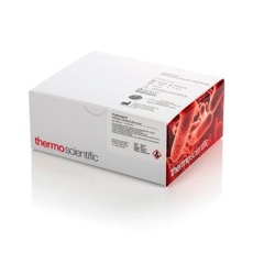 Thermo Scientific™ - Microbiology - SureTect PCR Food Pathogen Testing