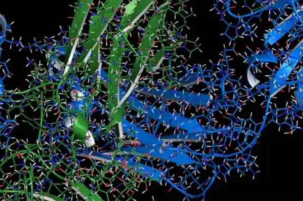 Synthesis and Characterization of Antibody Drug Conjugates