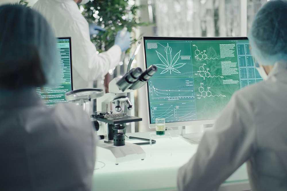 Key Therapeutic Trends and Benefits of Medical Cannabis