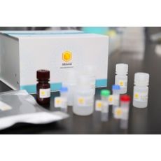 ABclonal - ELISA Kits