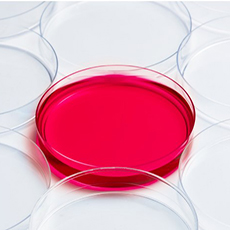 LabPRO - Petri Dishes