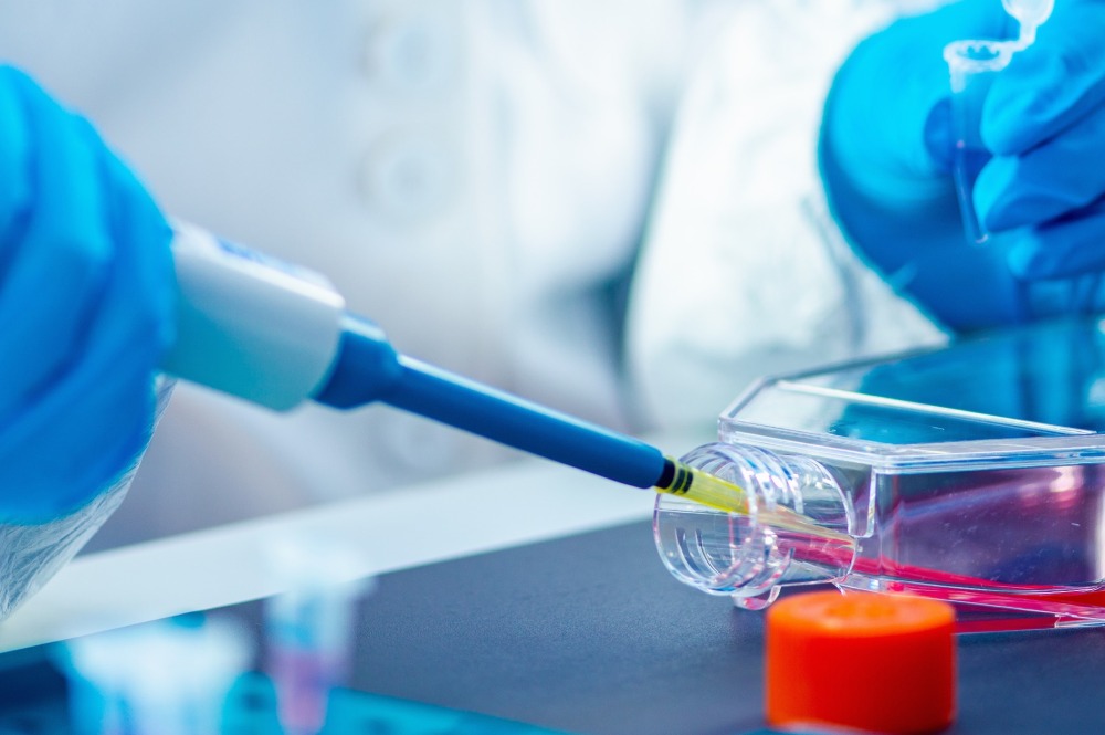 Selecting the Right Cell Culture Media for Research Success