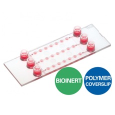 Ibidi - Labware - µ-Slide Spheroid Perfusion