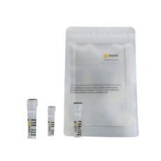 ABclonal - Antibodies