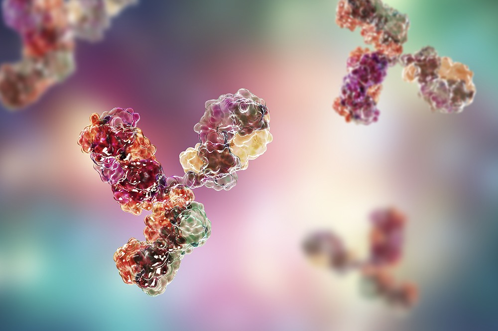 Bispecific Antibodies and Antibody Drug Conjugates: More Complex and Targeted Biologic Therapeutics