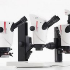 Leica - Stereo Microscopes - Routine Manual