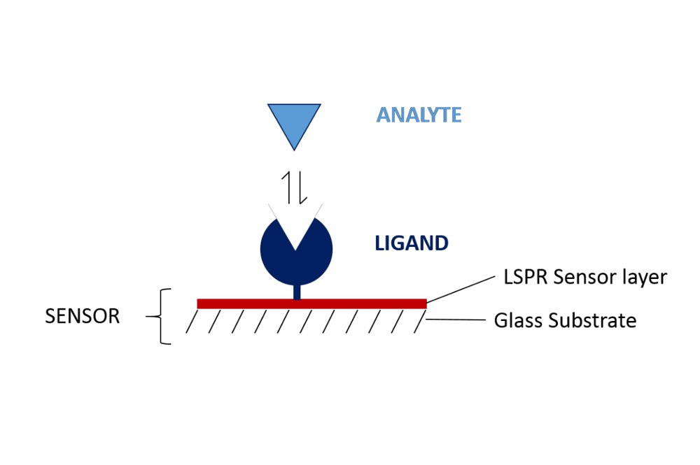 Surface Plasmon Resonance Sensors: A Comprehensive Guide for Scientists