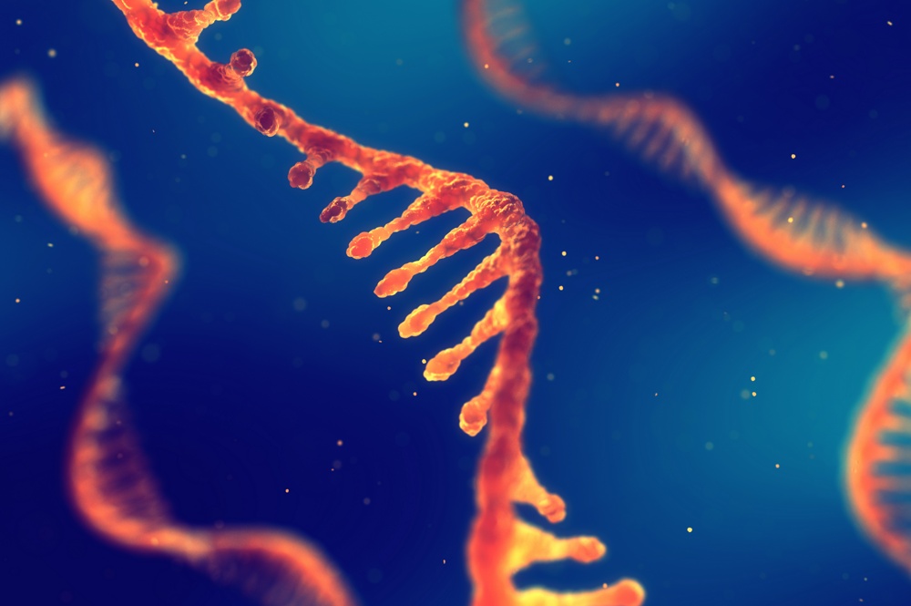Master Lipid Nanoparticle & Liposome Characterization with Light Scattering