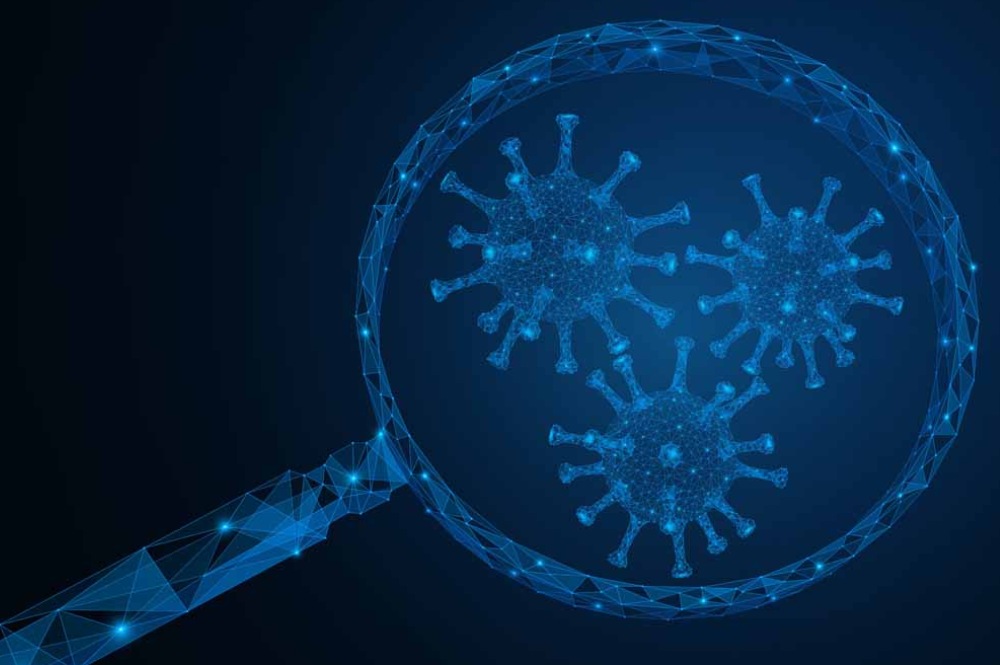Moving Towards Longer-Term Disease Protection With T Cell-Mediated Immunity