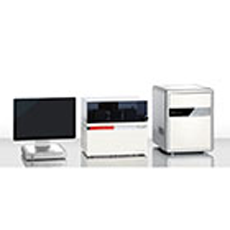 Elementar-Stable Isotope Analysis