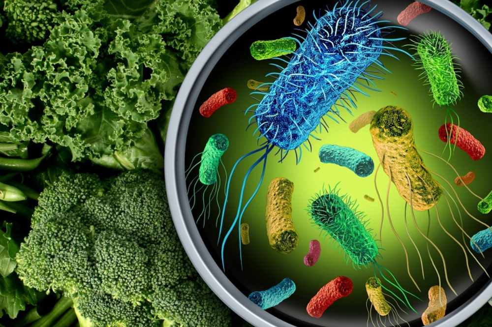 Importance of Hurdle Technology in Food Safety