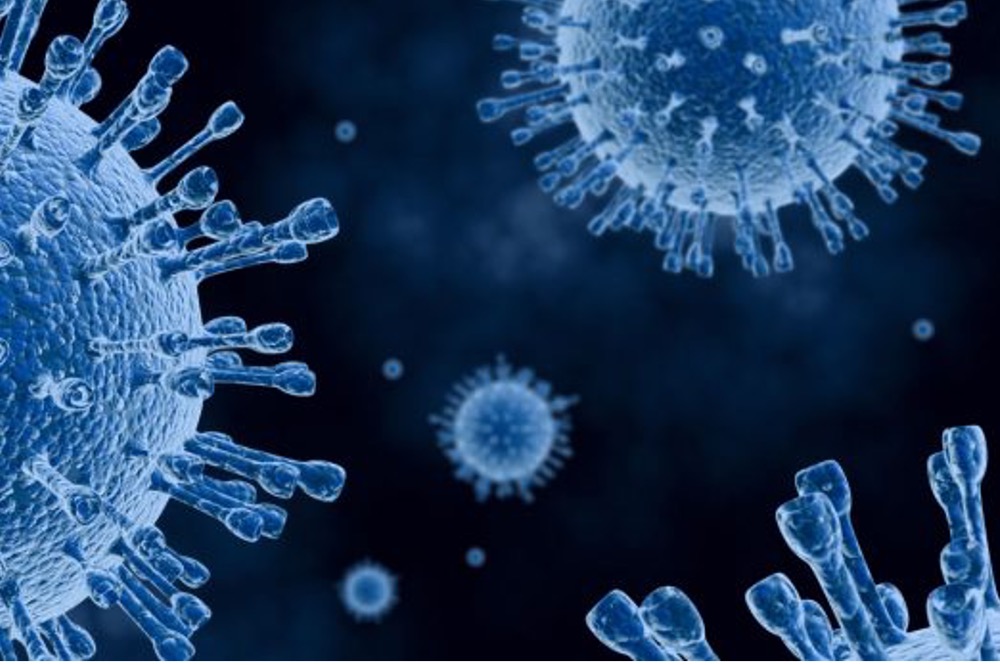 Ask an Expert: Efficient Development of Gene Therapy and Vaccines Through Comprehensive Viral Vector Characterization