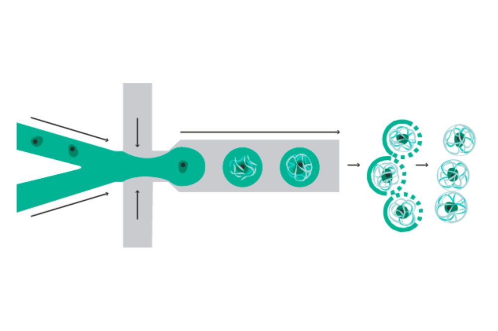 Encapsulating Cells in Free Floating Micro-Scaffolds