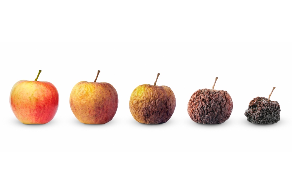 Three Key Changes Affecting the Shelf Life of Food Products