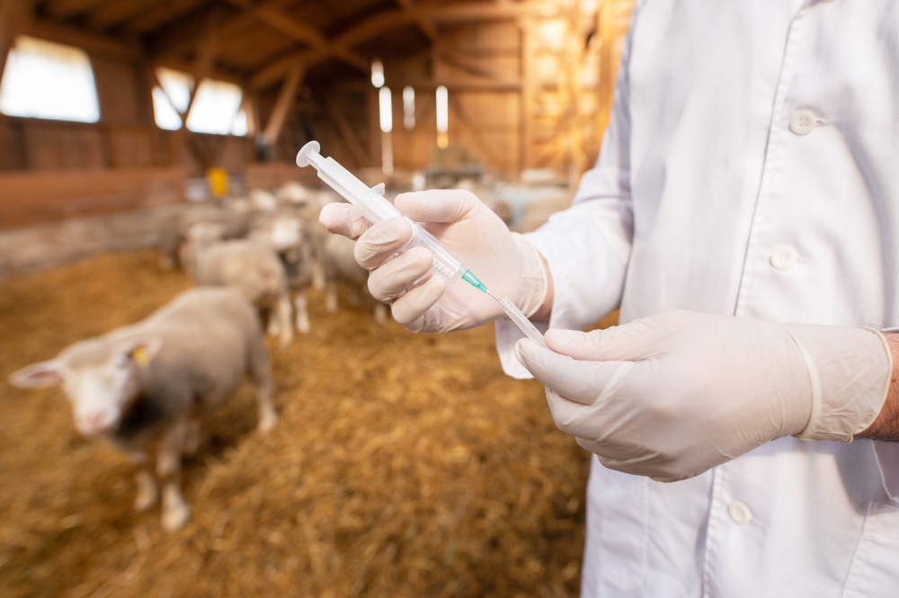 Better Animal Vaccines. Better Human Health.