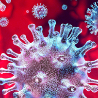 PerkinElmer - Test Kit - New Coronavirus Nucleic Acid Detection Kit