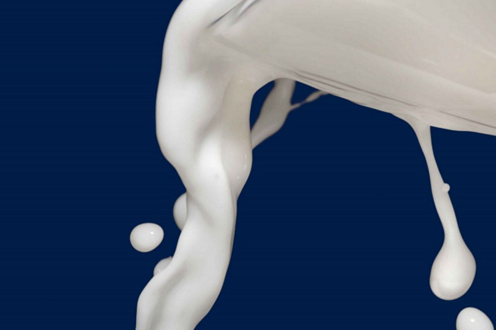 Top-quality dairy products