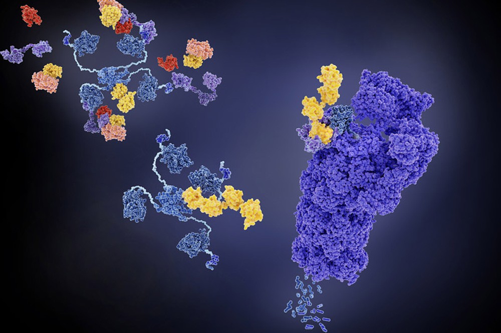 How PROTACs Can Help Eradicate Cancer With Our Body