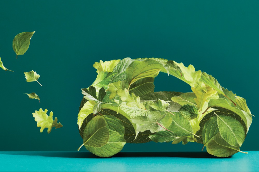 Renewable and Bio-Based Alternatives: Trends for the Specialty Chemicals Industry in 2024