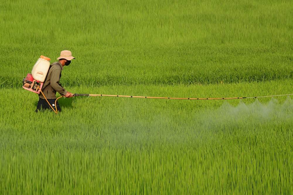 Chemical testing and pesticide challenges in Southeast Asia