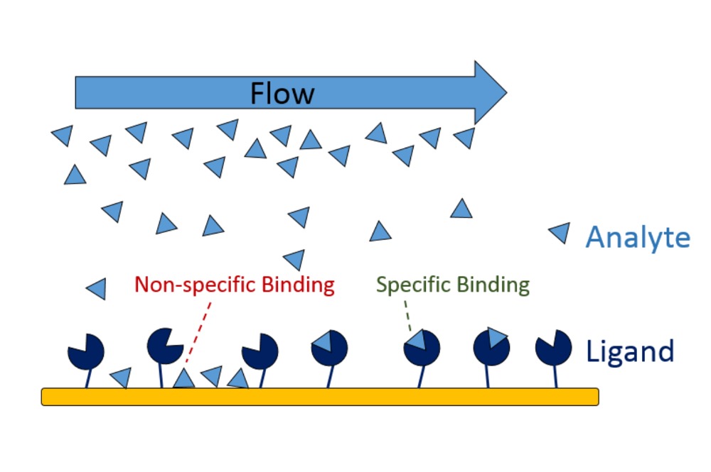 4 Ways To Reduce Non-specific Binding in Surface Plasmon Resonance Experiments