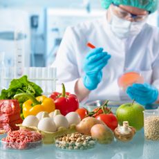 Thermo Scientific™ - Microbiology - PCR Testing for Foodborne Pathogens