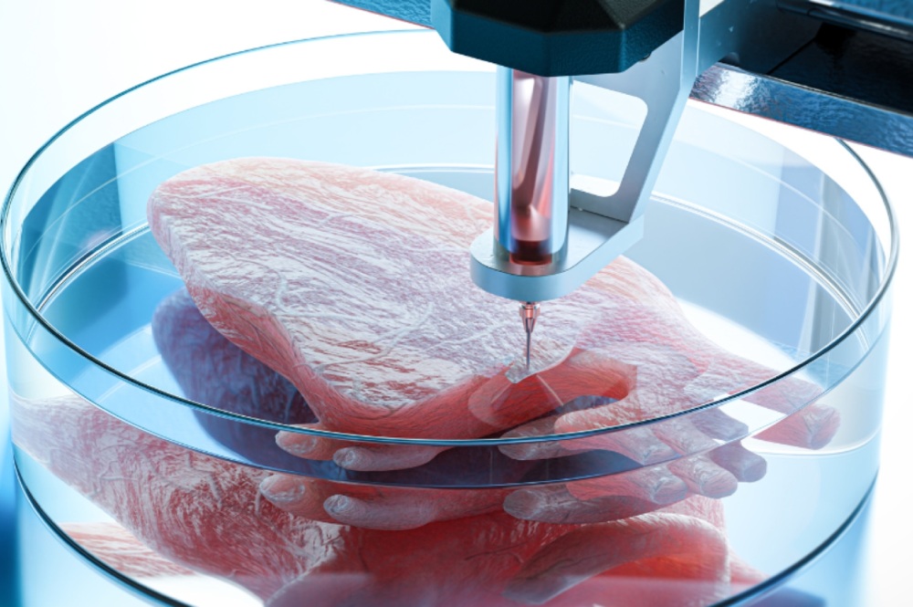 How 3D Bioprinting Is Advancing the Biomedical Industry