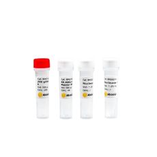 ABclonal - Molecular Biology Reagents