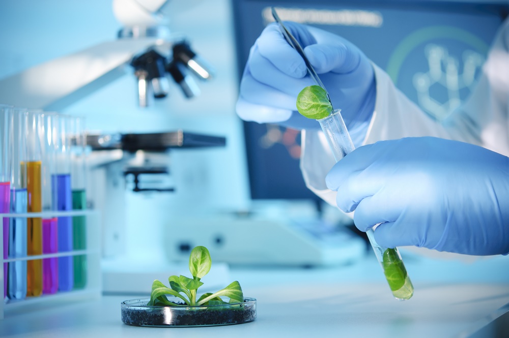 Novel technologies add flavor to food safety and quality testing