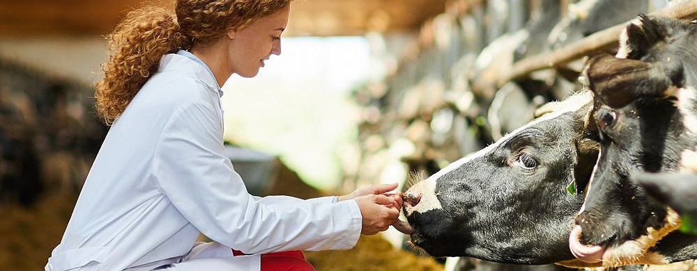 Ultrapure Water Solutions Help Argenta to Improve Animal Health in New Zealand