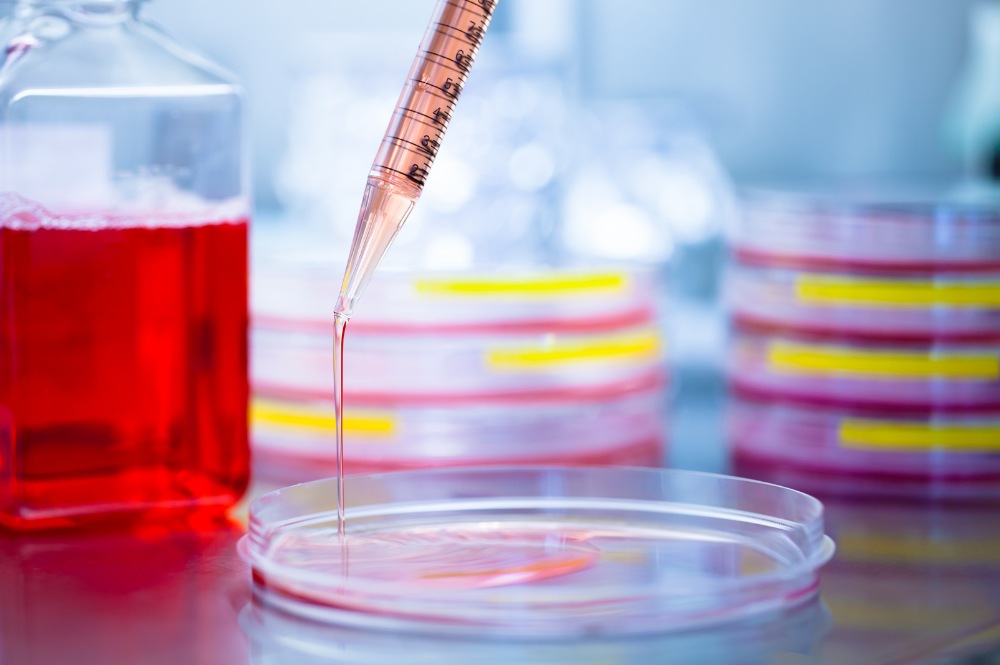 Tailoring Cell Culture Media for Optimal Cell Growth