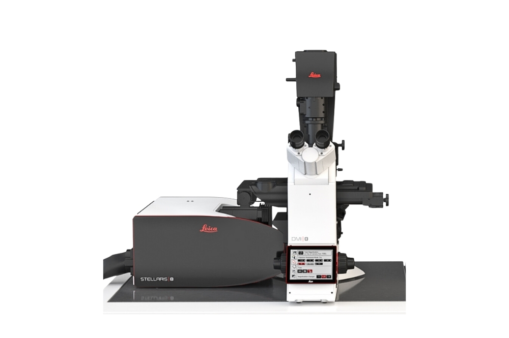 Leica - STELLARIS 8 FALCON FLIM Microscope