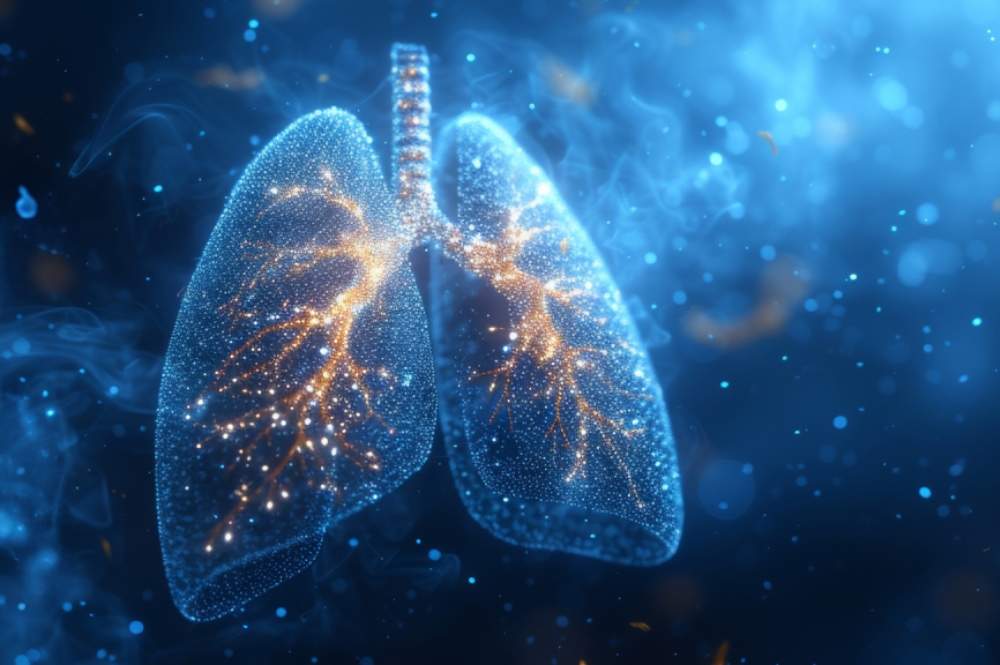 Rethinking Tumor Models: Why Physiological Oxygen Matters in Cancer Research