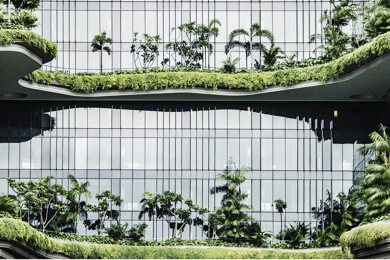 DKSH Publishes Fifth Sustainability Report and Achieves 2025 Climate Target Ahead of Time
