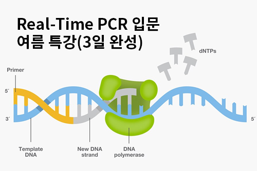 250613_01_PCR.png