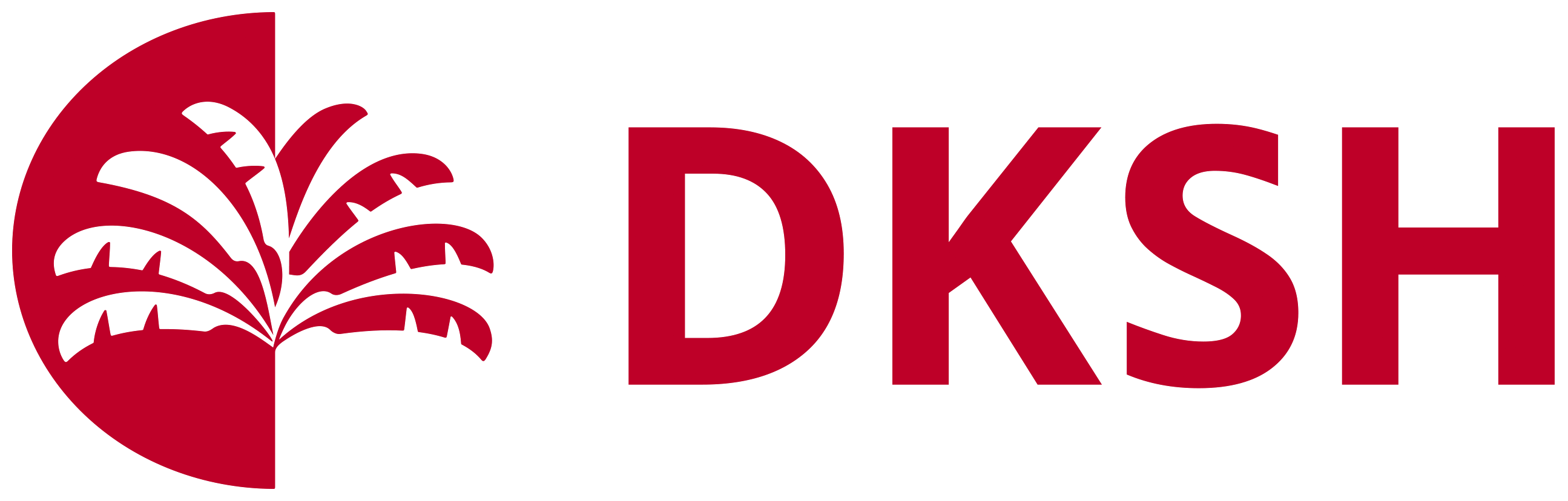 13_DKSH Logo.png
