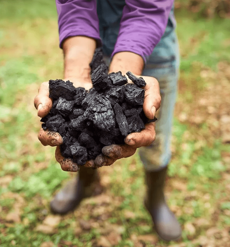 Image Section_Sustainability_Klimate_v2.png