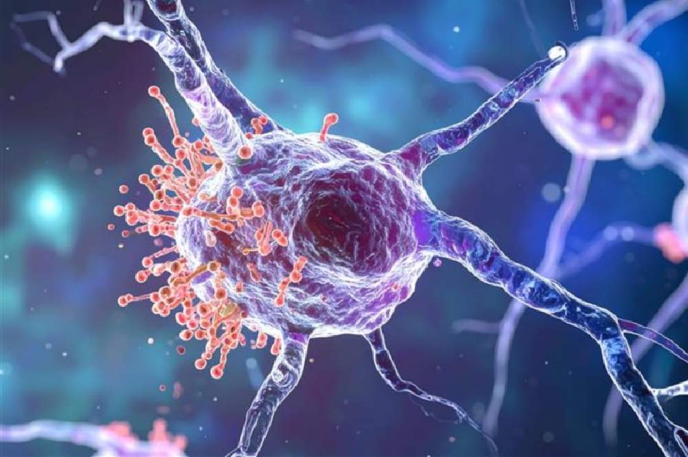 Empowering Biomarker Discovery in Parkinson’s Disease Research