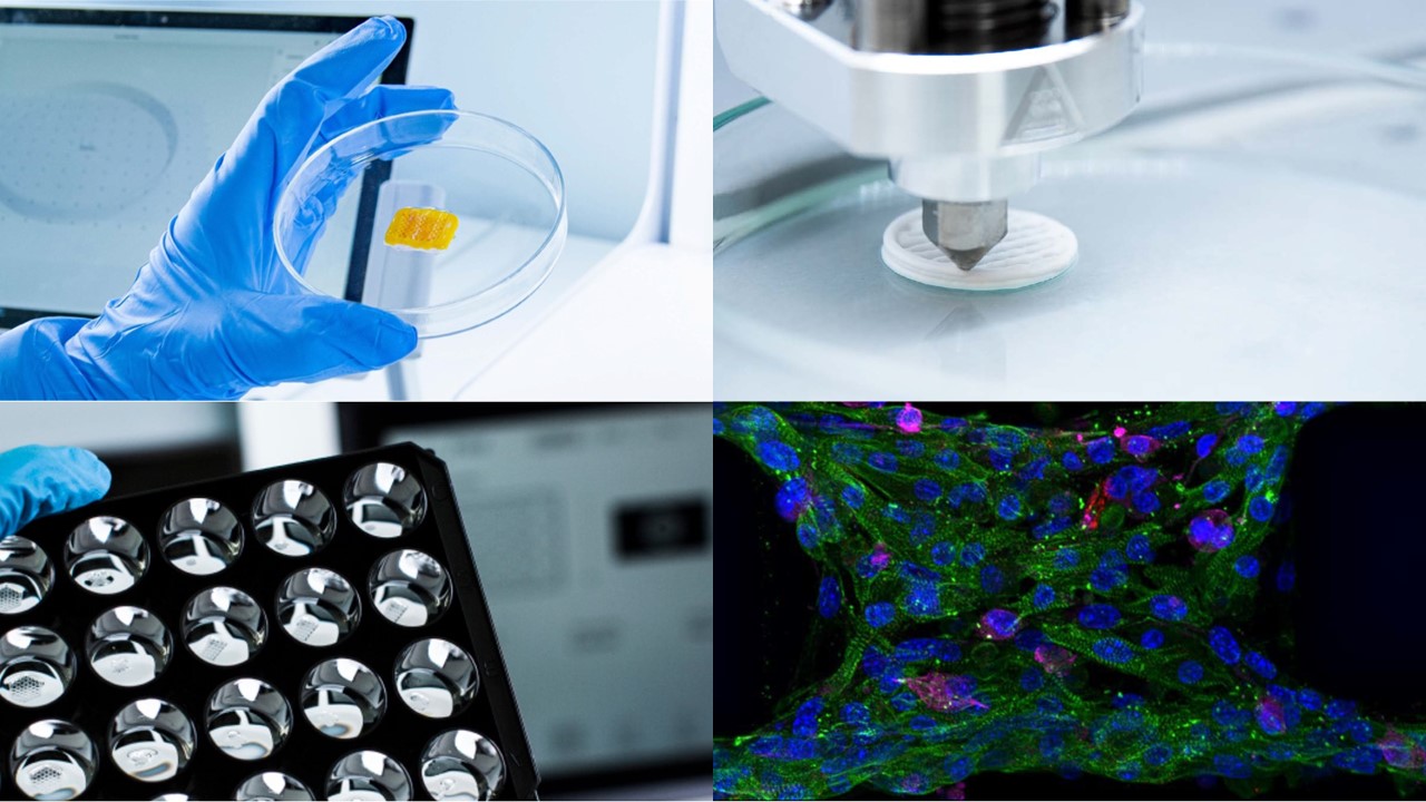 DKSH与CELLINK宣布战略合作，共同推进中国3D生物打印技术解决方案