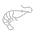 Seafood_SectionA_01.png