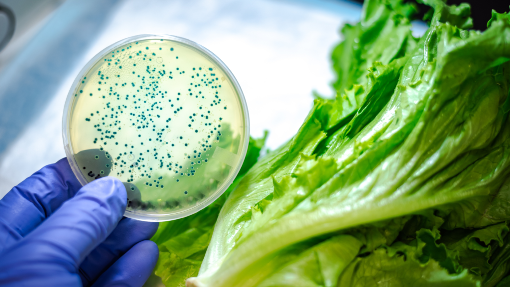 How High Pressure Processing (HPP) Inactivates Microorganisms and Enzymes in Food
