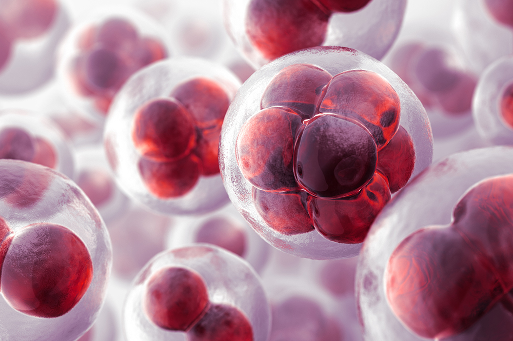 DKSH Signs Distribution Agreement with Xcell Therapeutics in India