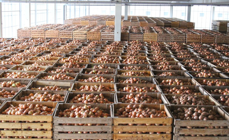 37b6fe17deed-solions-second (1).png